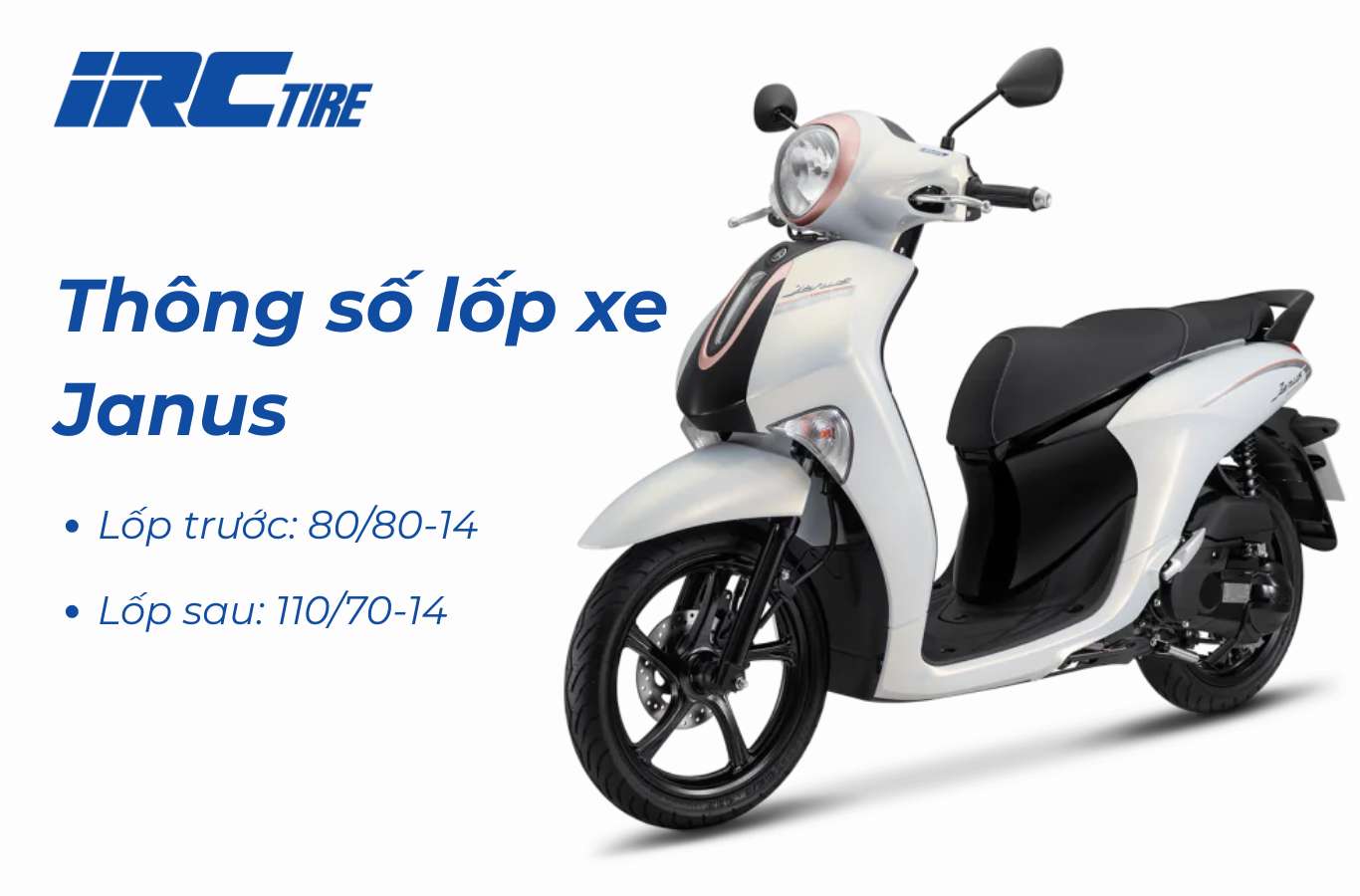Thông số lốp xe janus